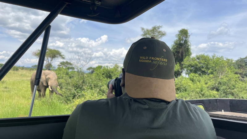 Game drive in Murchison Falls on safari in Uganda