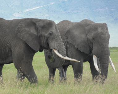 Spotlight on Northern Tanzania