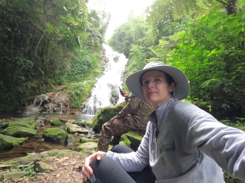Forest walk to waterfall in Bwindi Forest Uganda 